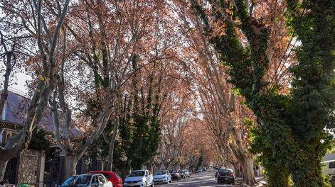 Chacras de Coria. Foto: Mariana Villa / Los Andes