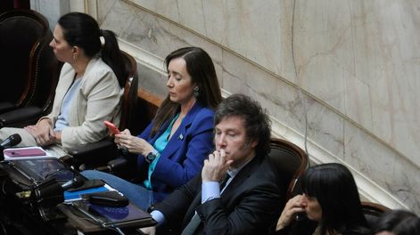 Los Andes | El libertario Javier Milei votó a favor de la devolución del IVA en Diputados (Foto: Federico López Claro)