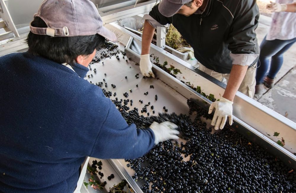 La industria afrontó el proceso de elaboración pensando en que habrá un margen menor para destinar al mantenimiento de máquinas. Foto: Ignacio Blanco/  Los Andes