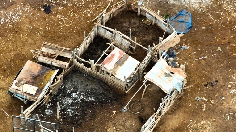 Operativo contra el abigeato cerca del río Mendoza.