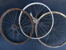 Ruedas de bicicleta pueden reciclarse en estructuras decorativas y soportes para plantas trepadoras en el hogar.