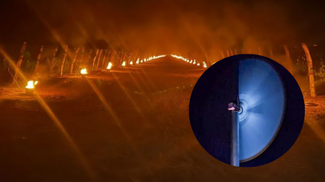 Nuevo sistema contra las heladas tardías: Los ventiladores instalados en la finca se activan automáticamente cuando la temperatura se aproxima a los 0°C y permiten elevar el registro térmico en pocos minutos.