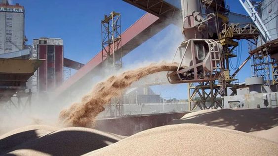 A casi una semana de los cambios en el Ministerio de Economía se suman al cepo a la importación y otras variables macro. Productores e industriales temen que disminuya la actividad por retracción de la economía.