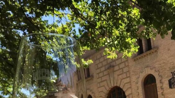 Bodega y Cavas Weinert: para recorrerla de manera online y offline