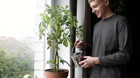 Los Andes | Hay que considerar que el agua no esté muy fría y evitar el riego cuando el suelo está escarchado o se produce una helada. Foto: Freepik / Aguas Cordobesas