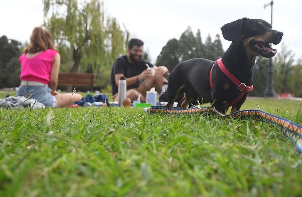 El sábado se espera un día muy agradable en Mendoza. -  Foto:José Gutierrez / Los Andes