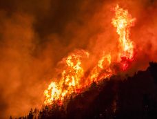 Preocupación en Chubut: se reactivaron los incendios forestales por los vientos y las altas temperaturas