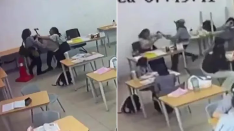 El ataque le ocasionó cortes en los brazos a la docente.