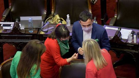 Los Andes | El plenario fue presidido por el vicepresidente de la cámara baja, Alvaro González (PRO), ya que el titular del cuerpo, Sergio Massa, participa en forma remota