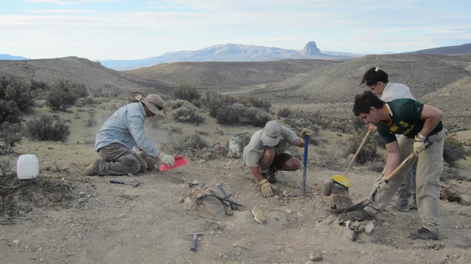 Investigadores estudiaron el dinosaurios que permite saber cómo era la vida en el Jurásico de Sudamérica.