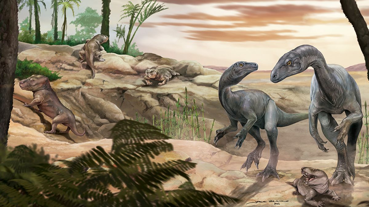 Científicos del Conicet descubren en La Rioja fósiles de uno de los dinosaurios más antiguos del mundo