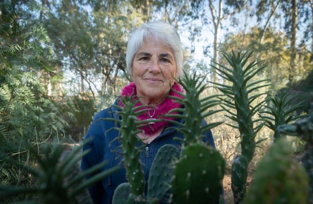 Mercedes Cisternas, presidente de la Asociación Gestión Nativa, integrada por mujeres de Las Heras que producen plantas nativas y Es una Asociación llevada adelante por mujeres en y para departamento de Las Heras en la cual producen plantas nativas y otros cultivos. Foto: Ignacio Blanco / Los Andes.