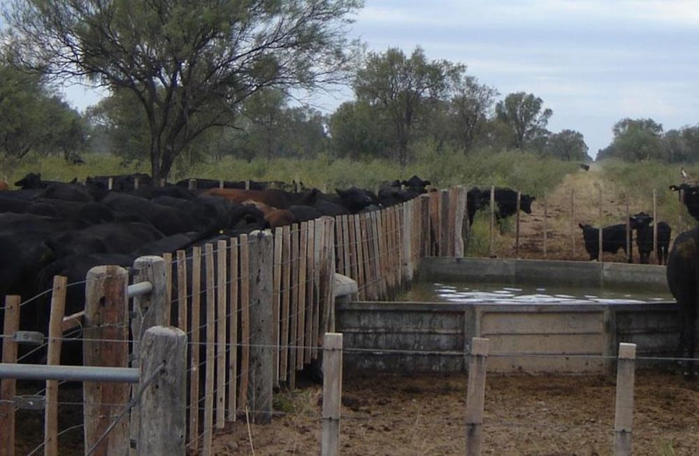 Desde hace varios años los productores ganaderos vienen solicitando mejoras en la infraestructura que rodea a los campos. / Foto: Gentileza