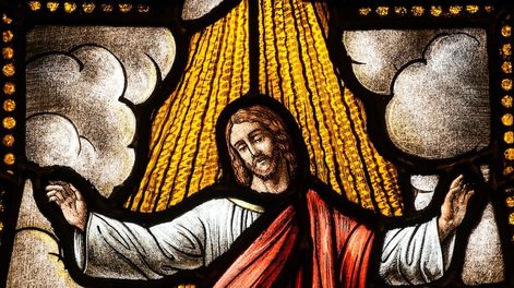 Jesús les respondió: ¿No han leído que el Creador, desde un principio los hizo hombre y mujer, y dijo: Por eso el hombre dejará a su padre y a su madre, para unirse a su mujer, y serán los dos una sola cosa?.