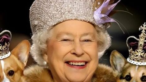 Isabel II y su gran historia de amor con los perros y caballos