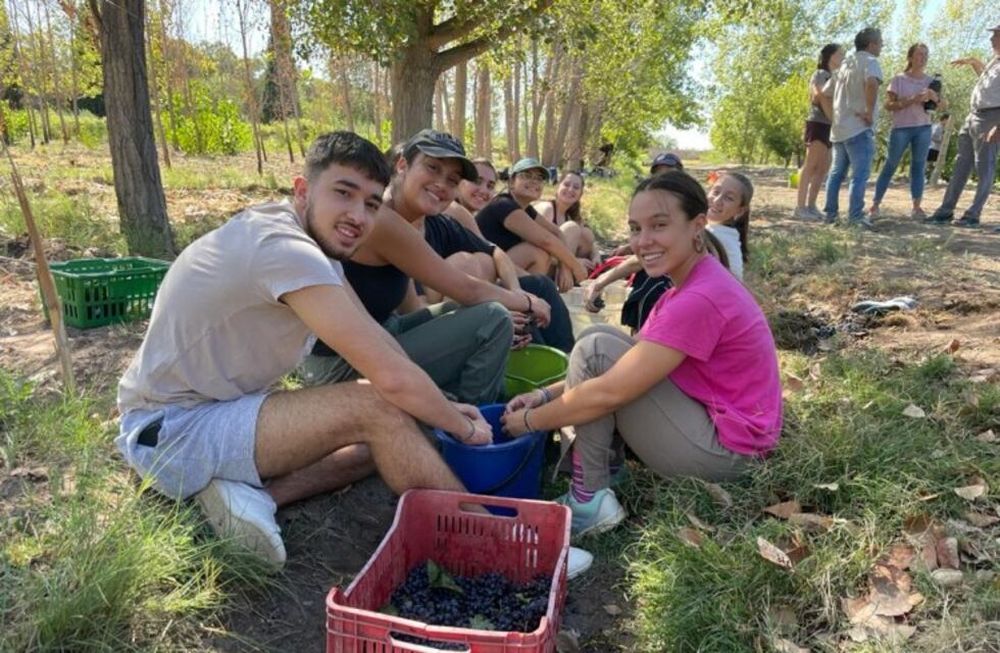 Estudiantes franceses de intercambio en el Liceo Agrícola