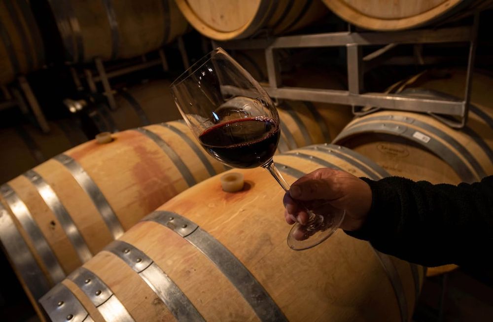 Menos elaboración: Muchas bodegas se quedaronen el camino a pesar de que la industria está creciendo.  Foto: Ignacio Blanco / Los andes.