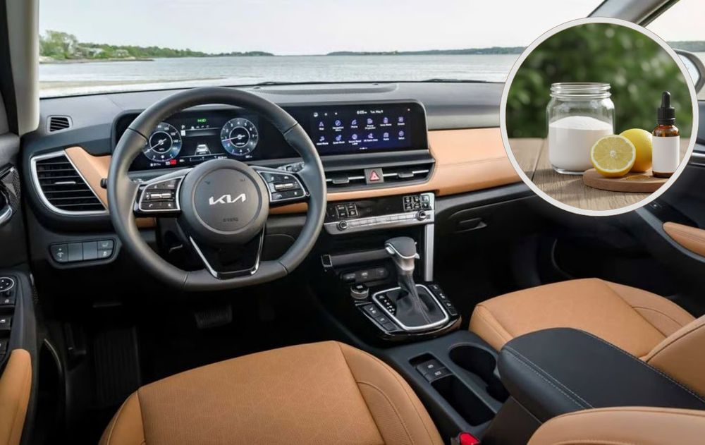 Este método mejora el aroma, pero también protege los tapizados y prolonga la vida útil del auto al reducir los efectos de la humedad.