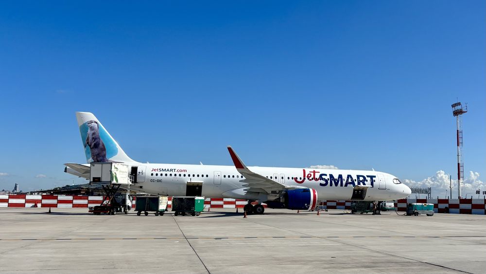 Hay tres aviones A321neo, todos tienen en sus colas distintos animales de la fauna argentina.