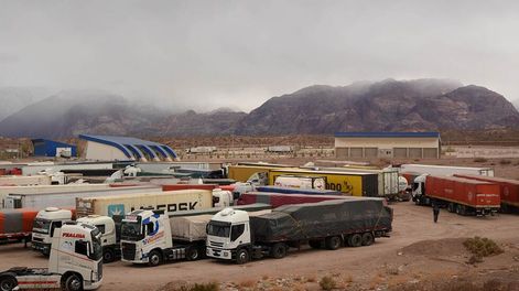 Fueron el producto más vendido a Chile durante el año pasado. / Foto: Marcelo Rolland / Los Andes