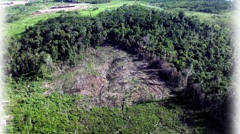 Desertificación: su impacto en nuestro hábitat