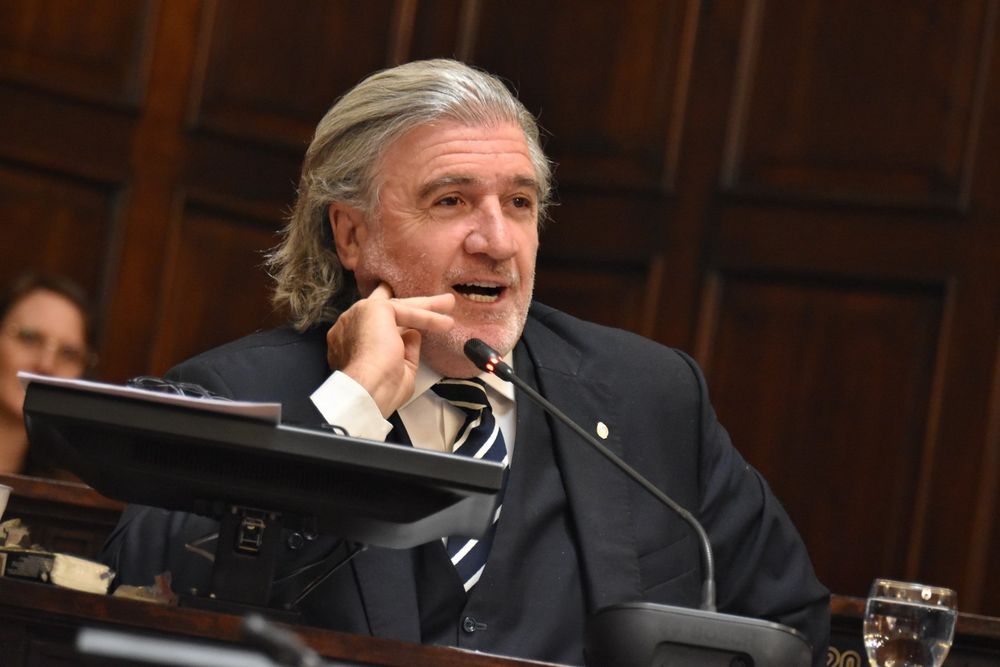 José Luis Ramón, diputado provincial de Protectora.