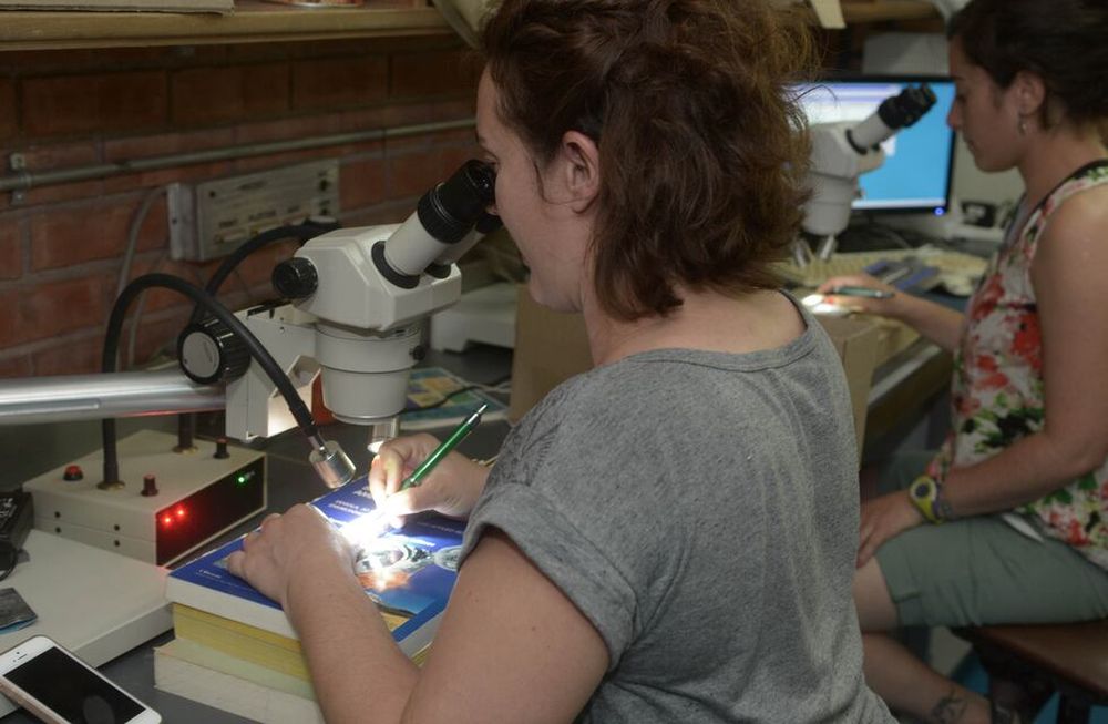 Investigación científica, devaluada
