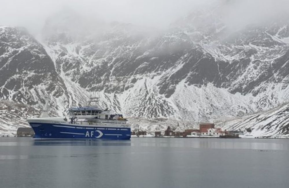Pesca Malvinas - Buques palangreros de banderas de Territorios de Ultramar, pescan en Georgias del Sur y la zona. Pez Granadero y Merluza Negra son las principales especies explotadas.