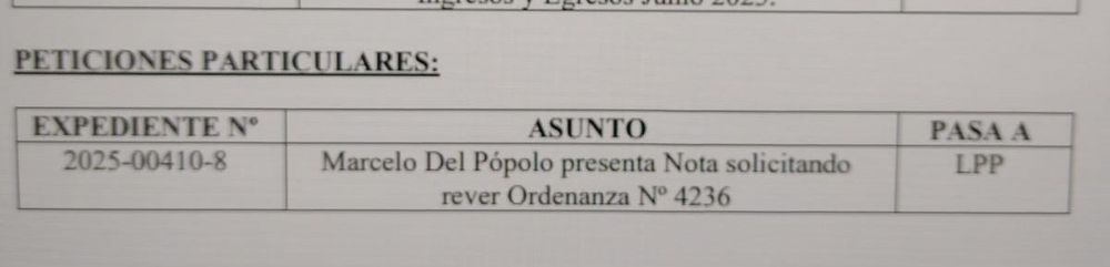 Jetzt ist die Kontroverse um die Nutzung der Gehwege nach Rivadavia verlagert worden. Tagesordnung des Stadtrats von Rivadavia.