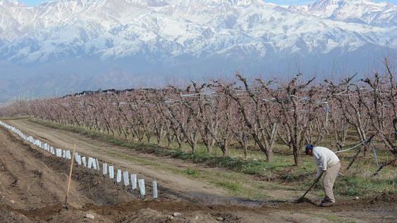 Mendoza es un desierto donde solo se puede ocupar el 4% por las limitaciones que genera la falta de agua.  - Claudio Gutierrez / Los Andes