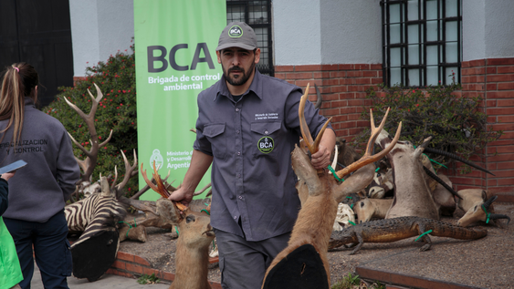 Destapó una mega red de caza ilegal y tráfico de fauna y será el primer argentino en recibir un prestigioso premio