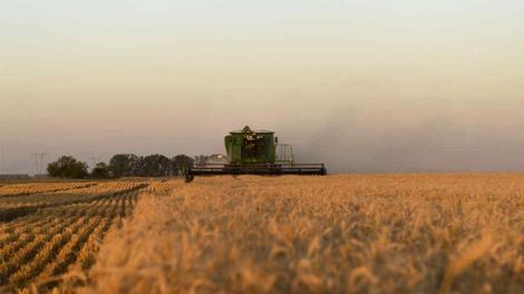 Las nuevas medidas de Massa y su impacto en la agroindustria.