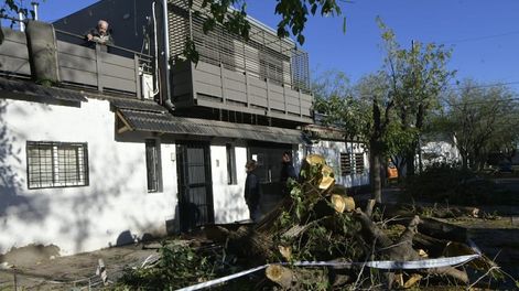 Los Andes | El día después de la catástrofe: Guaymallén, el departamento más golpeado por el temporal y sus consecuencias. En San José hubo varios árboles caídos. Foto: Orlando Pelichotti / Los Andes.