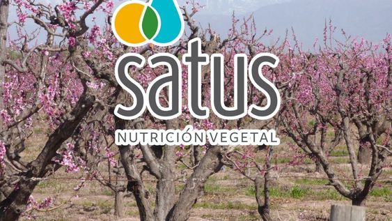 La importancia de una nutrición equilibrada, eficiente y de calidad