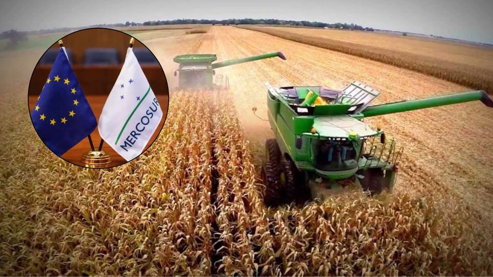 Los beneficios para las exportaciones argentinas tras el acuerdo entre el Mercosur y la Unión Europea Los beneficios para las exportaciones argentinas tras el acuerdo entre el Mercosur y la Unión Europea