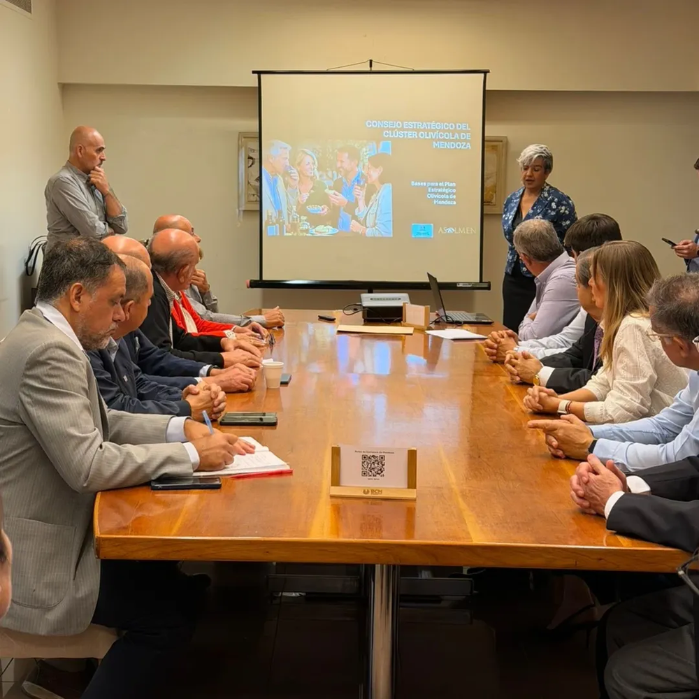 Primer encuentro para conformar el cl&uacute;ster oliv&iacute;cola en la Bolsa de Comercio de Mendoza