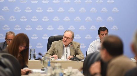 Los Andes | El dictamen de mayoría del Frente de Todos sobre la reforma en Ganancias recibió 25 firmas (Foto: HCDN)