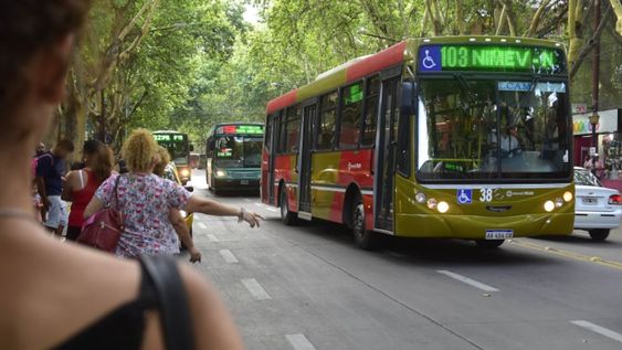 Desde hoy actualizan las frecuencias de colectivos en Mendoza: cuáles son y cómo revisarlas