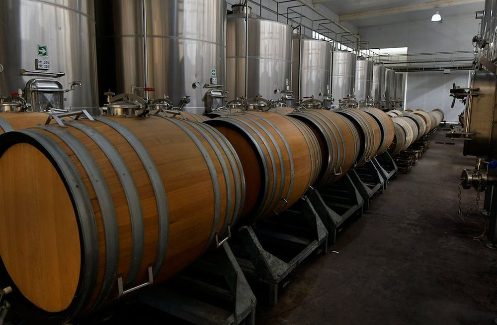 La vitivinicultura es una de las economías regionales que se encuentra en rojo en el semáforo de Coninagro. Foto: Orlando Pelichotti / Los Andes