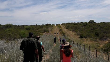 Sendero de la Reserva de Biósfera Ñacuñán (Santa Rosa), camino hacia el mirador de esa área natural protegida. Foto: Mariana Cannizzo