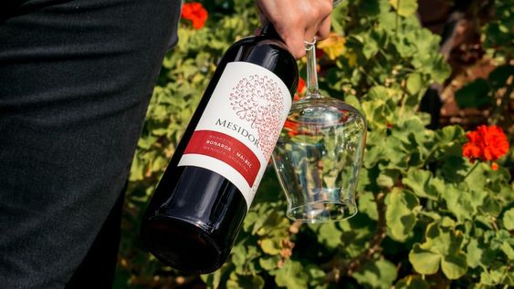 Ganate una caja de vinos de Bodega Nueva California