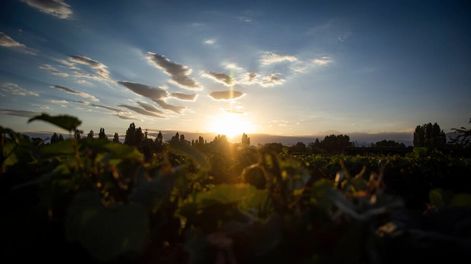 Nuestro aliado: el sol - Por Jorge Sosa