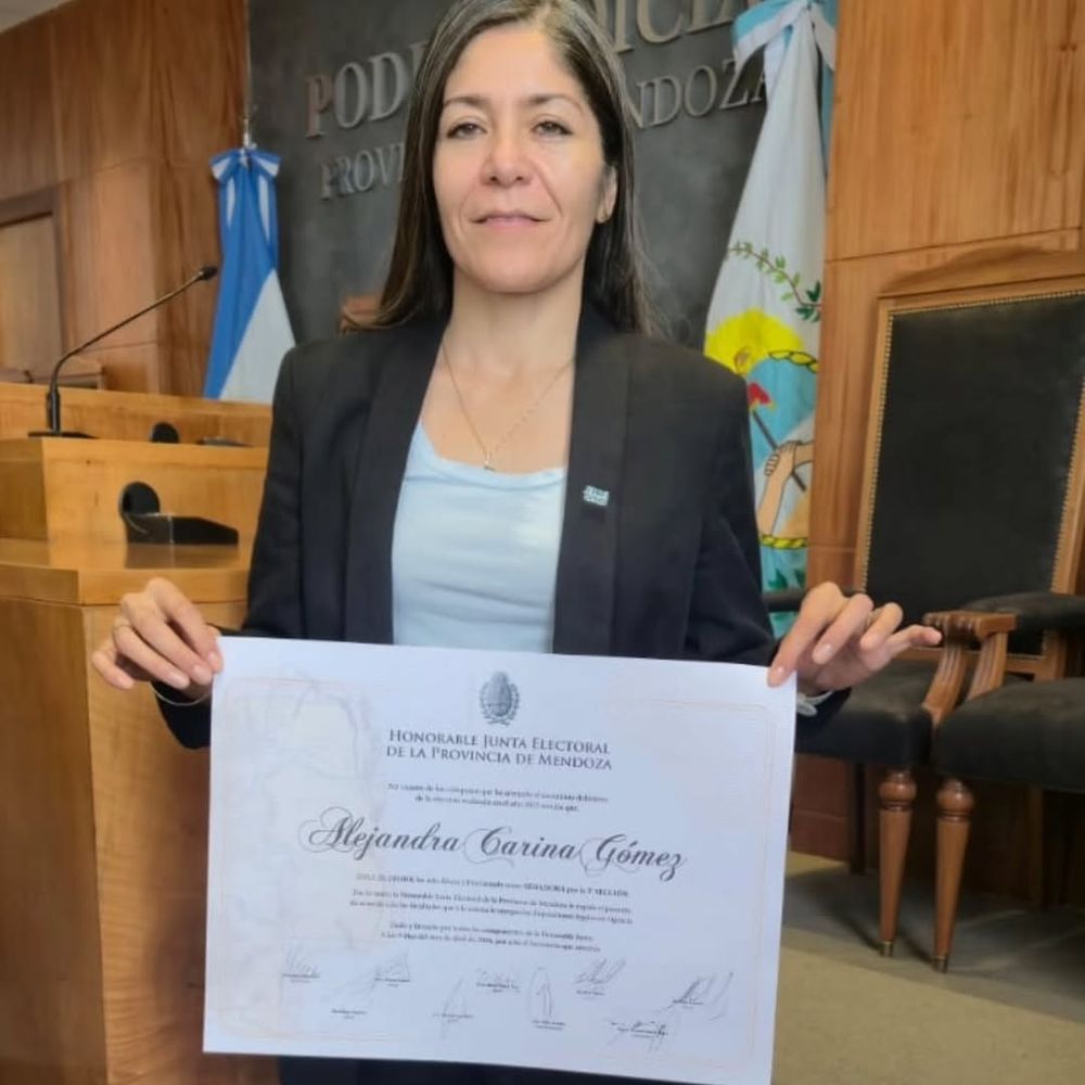 La senadora provincial de La Libertad Avanza, Alejandra Gómez. 