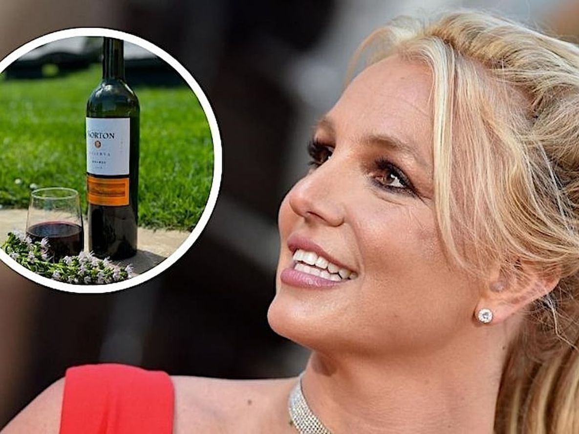Britney Spears elogió a un Malbec mendocino en sus redes