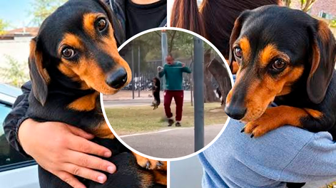 Investigan por presunto maltrato animal a un hombre que fue grabado agrediendo a su perro en Catamarca.