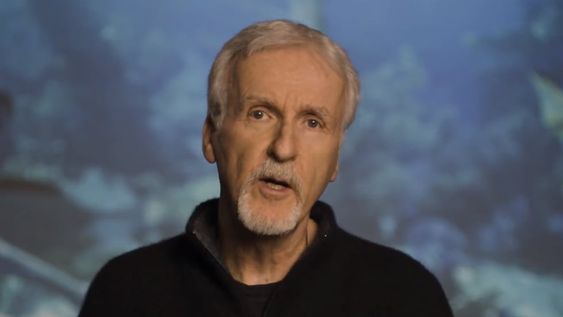 Cameron asemejó la el episodio que atravesó en territorio nacional con la trama de uno de sus mayores éxitos taquilleos, Avatar. “Trata del conflicto entre una industria extractiva y los derechos de los indígenas. Si se puede generar una óptica en la que aparezco aprobando la minería de litio, eso da una suerte de mandato u aprobación”, aseveró. Foto: James Cameron / Redes