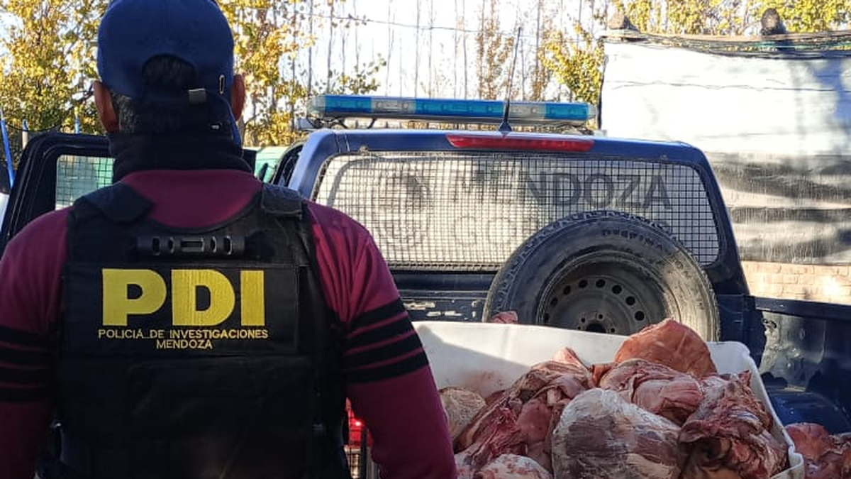 Decomisaron 60 kilos de carne en mal estado en un comercio en Las Heras