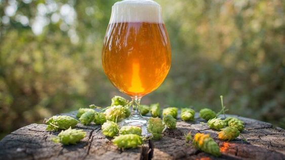 Para celebrar el Día de la Independencia, el próximo 9 de julio en más de 90 bares, restaurantes y tiendas de todo el país, se venderá la IPA Argenta, bebida que nació de la colaboración de 250 productores artesanales.