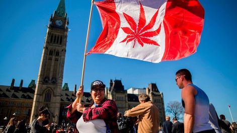 Canadá es el segundo país del mundo en legalizar el consumo y el cultivo de marihuana