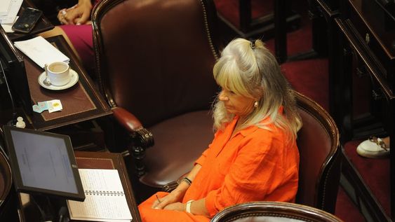 La senadora María Inés Pilatti Vergara, una de las oficialistas que no acompañará la votación (Foto: Federico López Claro)